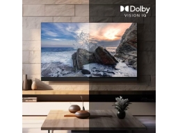 Panasonic TV-65W95BEG 65' Mini LED, 4K HDR okostévé